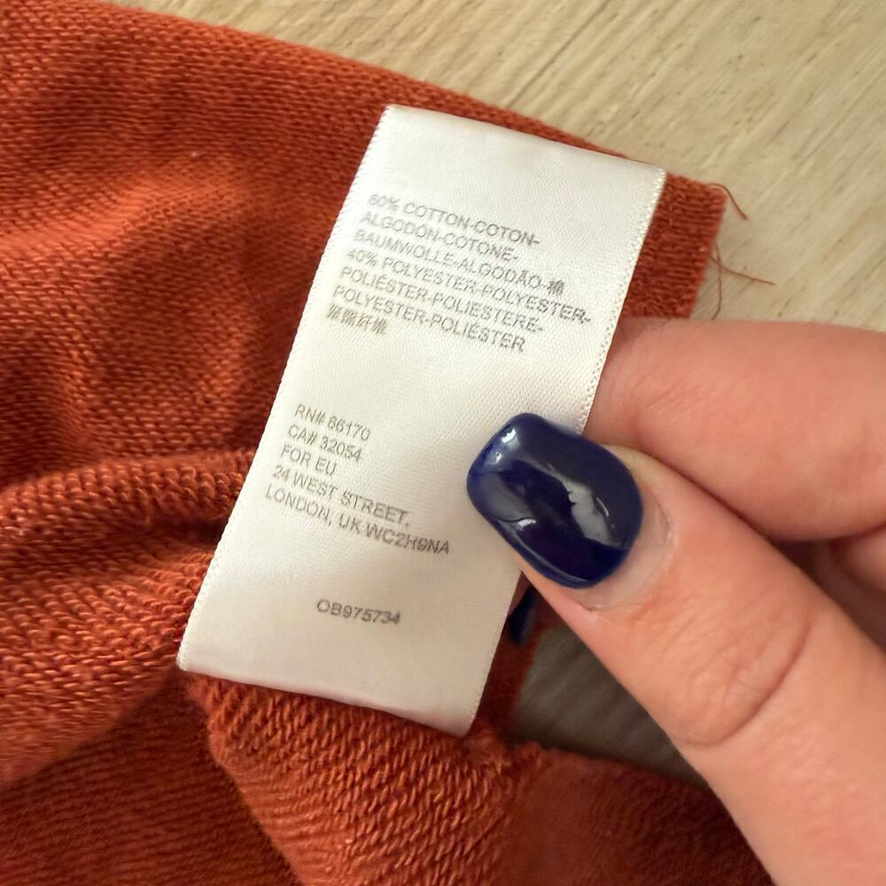 Urban Outfitter Rust Orange Raw Hem Seamed Pullover Hoodie Sweatshirt Size Small - Picture 5 of 5
